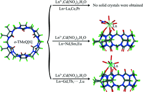 Graphical abstract: Coordination of Ln3+ in ortho-tetramethyl-substituted cucurbituril supramolecular assemblies formed in the presence of cadmium nitrate: potential applications for isolation of heavier lanthanides