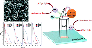 Graphical abstract: Hydrothermal growth of ZnO nanorods on Zn substrates and their application in degradation of azo dyes under ambient conditions