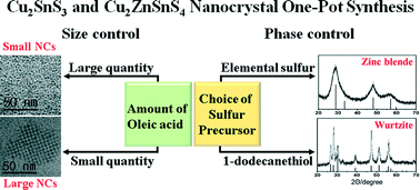 Graphical abstract: Simultaneous phase and size control in the synthesis of Cu2SnS3 and Cu2ZnSnS4 nanocrystals