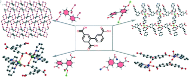 Graphical abstract: Structures and properties of coordination polymers involving asymmetric biphenyl-3,2′,5′-tricarboxylate