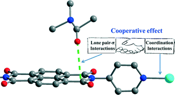 Graphical abstract: Cooperative lone pair–π and coordination interactions in naphthalene diimide coordination networks