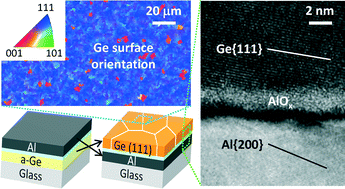Graphical abstract: Self-organization of Ge(111)/Al/glass structures through layer exchange in metal-induced crystallization