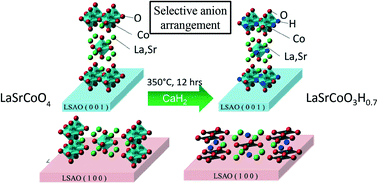 Graphical abstract: Substrate-induced anion rearrangement in epitaxial thin films of LaSrCoO4−xHx