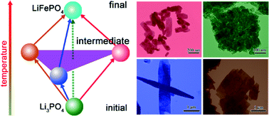 Graphical abstract: Morphological and orientational diversity of LiFePO4 crystallites: remarkable reaction path dependence in hydrothermal/solvothermal syntheses