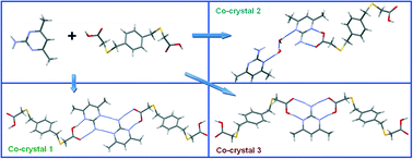 Graphical abstract: Co-crystal formation between 2-amino-4,6-dimethylpyrimidine and new p-xylylene-bis(thioacetic) acid