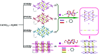 Graphical abstract: The influence of 1-alkyl-3-methyl imidazolium ionic liquids on a series of cobalt-1,4-benzenedicarboxylate metal–organic frameworks