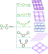 Graphical abstract: Positional isomeric effect on the structural variation of Cd(ii) coordination polymers based on flexible linear/V-shaped bipyridyl benzene ligands