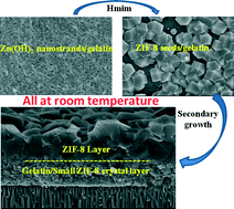 Graphical abstract: Room temperature synthesis of ZIF-8 membranes from seeds anchored in gelatin films for gas separation