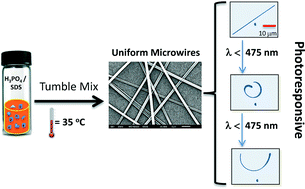Graphical abstract: Chemical reaction method for growing photomechanical organic microcrystals