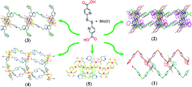 Graphical abstract: Self-triggered conformations of disulfide ensembles in coordination polymers with multiple metal clusters