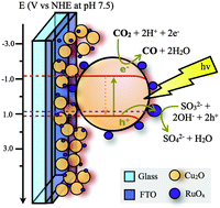 Graphical abstract: Interfacial charge separation in Cu2O/RuOx as a visible light driven CO2 reduction catalyst