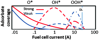 Graphical abstract: Following ORR intermediates adsorbed on a Pt cathode catalyst during break-in of a PEM fuel cell by in operando X-ray absorption spectroscopy