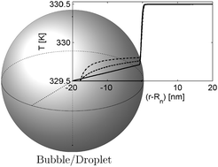 Graphical abstract: Heat and mass transfer through interfaces of nanosized bubbles/droplets: the influence of interface curvature