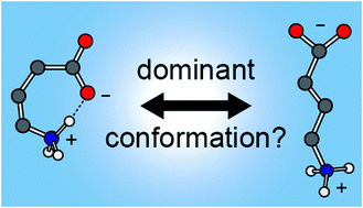 Graphical abstract: Conformation of the neurotransmitter γ-aminobutyric acid in liquid water