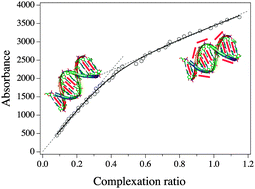 Graphical abstract: Complexation of DNA with ruthenium organometallic compounds: the high complexation ratio limit