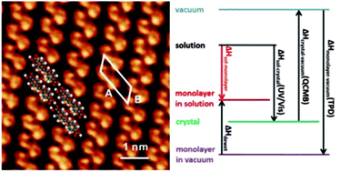 Graphical abstract: Thermodynamics of 4,4′-stilbenedicarboxylic acid monolayer self-assembly at the nonanoic acid–graphite interface