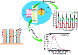 Graphical abstract: Enhanced photoluminescence and photoactivity of plasmon sensitized nSiNWs/TiO2 heterostructures