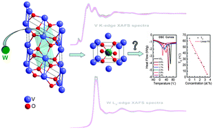 Graphical abstract: Depressed transition temperature of WxV1−xO2: mechanistic insights from the X-ray absorption fine structure (XAFS) spectroscopy