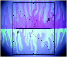 Graphical abstract: Cross-diffusion-induced convective patterns in microemulsion systems