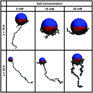 Graphical abstract: Critical adsorption of polyelectrolytes onto charged Janus nanospheres