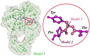 Graphical abstract: Biomolecular structure manipulation using tailored electromagnetic radiation: a proof of concept on a simplified model of the active site of bacterial DNA topoisomerase