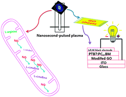 Graphical abstract: Influence of nanosecond pulsed plasma on the non-enzymatic pathway for the generation of nitric oxide from l-arginine and the modification of graphite oxide to increase the solar cell efficiency
