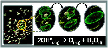 Graphical abstract: Aqueous production of oxygen atoms from hydroxyl radicals