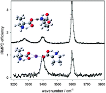 Graphical abstract: The protonated and sodiated dimers of proline studied by IRMPD spectroscopy in the N–H and O–H stretching region and computational methods