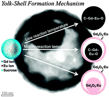 Graphical abstract: Yolk–shell structured Gd2O3:Eu3+ phosphor prepared by spray pyrolysis: the effect of preparation conditions on microstructure and luminescence properties