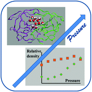 Graphical abstract: Pressure induced structural changes and dimer destabilization of HIV-1 protease studied by molecular dynamics simulations