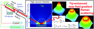 Graphical abstract: Near field plasmonic gradient effects on high vacuum tip-enhanced Raman spectroscopy