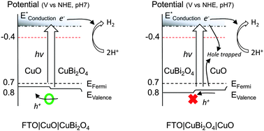 Graphical abstract: Photoelectrochemical reduction of aqueous protons with a CuO|CuBi2O4 heterojunction under visible light irradiation