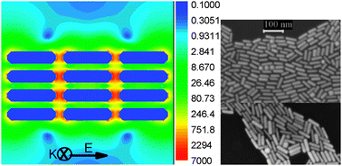 Graphical abstract: Controlling the orientations of gold nanorods inside highly packed 2D arrays