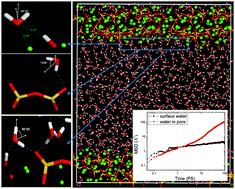 Graphical abstract: Water transport in the nano-pore of the calcium silicate phase: reactivity, structure and dynamics
