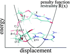 Graphical abstract: Towards biochemically relevant QM computations on nucleic acids: controlled electronic structure geometry optimization of nucleic acid structural motifs using penalty restraint functions