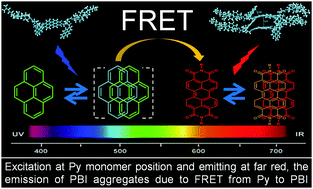 Graphical abstract: Towards a new FRET system via combination of pyrene and perylene bisimide: synthesis, self-assembly and fluorescence behavior
