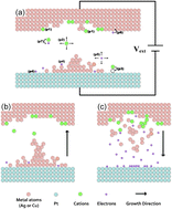 Graphical abstract: Atomistic study of dynamics for metallic filament growth in conductive-bridge random access memory