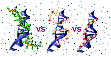 Graphical abstract: Chemistry specificity of DNA–polycation complex salt response: a simulation study of DNA, polylysine and polyethyleneimine