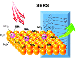 Graphical abstract: In situ Raman and surface-enhanced Raman spectroscopy on working electrodes: spectroelectrochemical characterization of water oxidation electrocatalysts