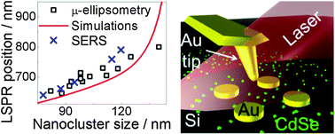 Graphical abstract: Surface- and tip-enhanced resonant Raman scattering from CdSe nanocrystals