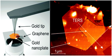 Graphical abstract: Tip-enhanced Raman spectroscopy of graphene-like and graphitic platelets on ultraflat gold nanoplates