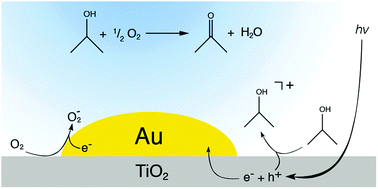 Graphical abstract: On the role of gold nanoparticles in the selective photooxidation of 2-propanol over Au/TiO2