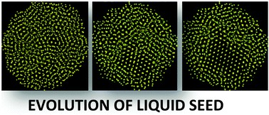 Graphical abstract: Liquid crystal seed nucleates liquid–solid phase change in ceria nanoparticles