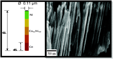 Graphical abstract: A soft/hard magnetic nanostructure based on multisegmented CoNi nanowires