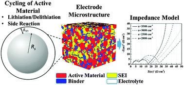 Graphical abstract: Probing the morphological influence on solid electrolyte interphase and impedance response in intercalation electrodes