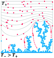 Graphical abstract: Thermal relaxation of lithium dendrites