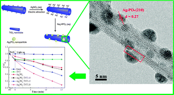 Graphical abstract: In situ fabrication of Ag3PO4/TiO2 nanotube heterojunctions with enhanced visible-light photocatalytic activity