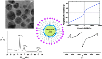 Graphical abstract: Developing functionalized Fe3O4–Au nanoparticles: a physico-chemical insight