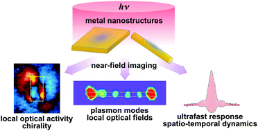 Graphical abstract: Local optical responses of plasmon resonances visualised by near-field optical imaging