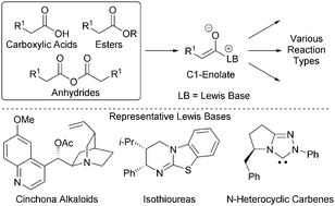 Graphical abstract: Organocatalytic Lewis base functionalisation of carboxylic acids, esters and anhydrides via C1-ammonium or azolium enolates